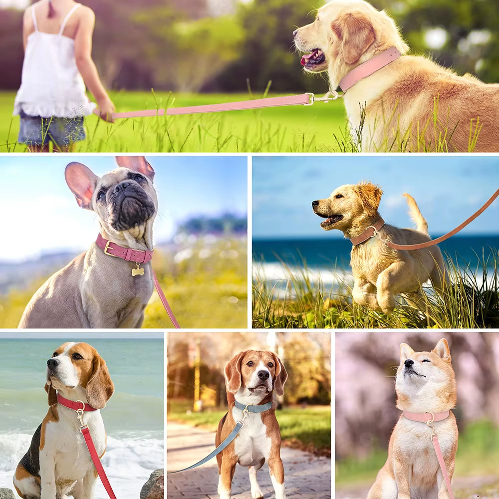 Soft Padded Dog Collar Leash Set PU Leather Pet Dog Collars Necklace with Walking Lead Rope Adjustable for Small Medium Dogs Pug
