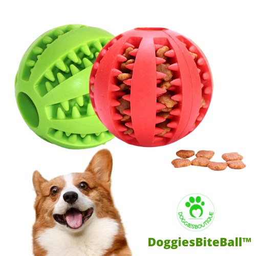 Dog-treat-ball-pack