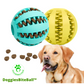 Dog-treat-ball