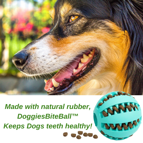 Dog-treat-ballclean-teeth