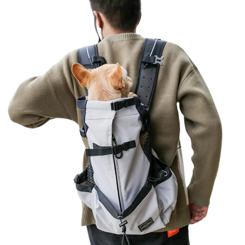 Dog back pack carrier hands free