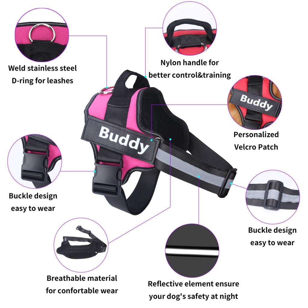dog harness personalized