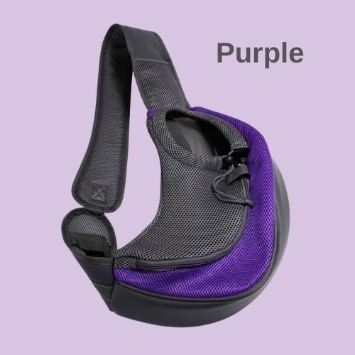 Small-dog-carrier-purple