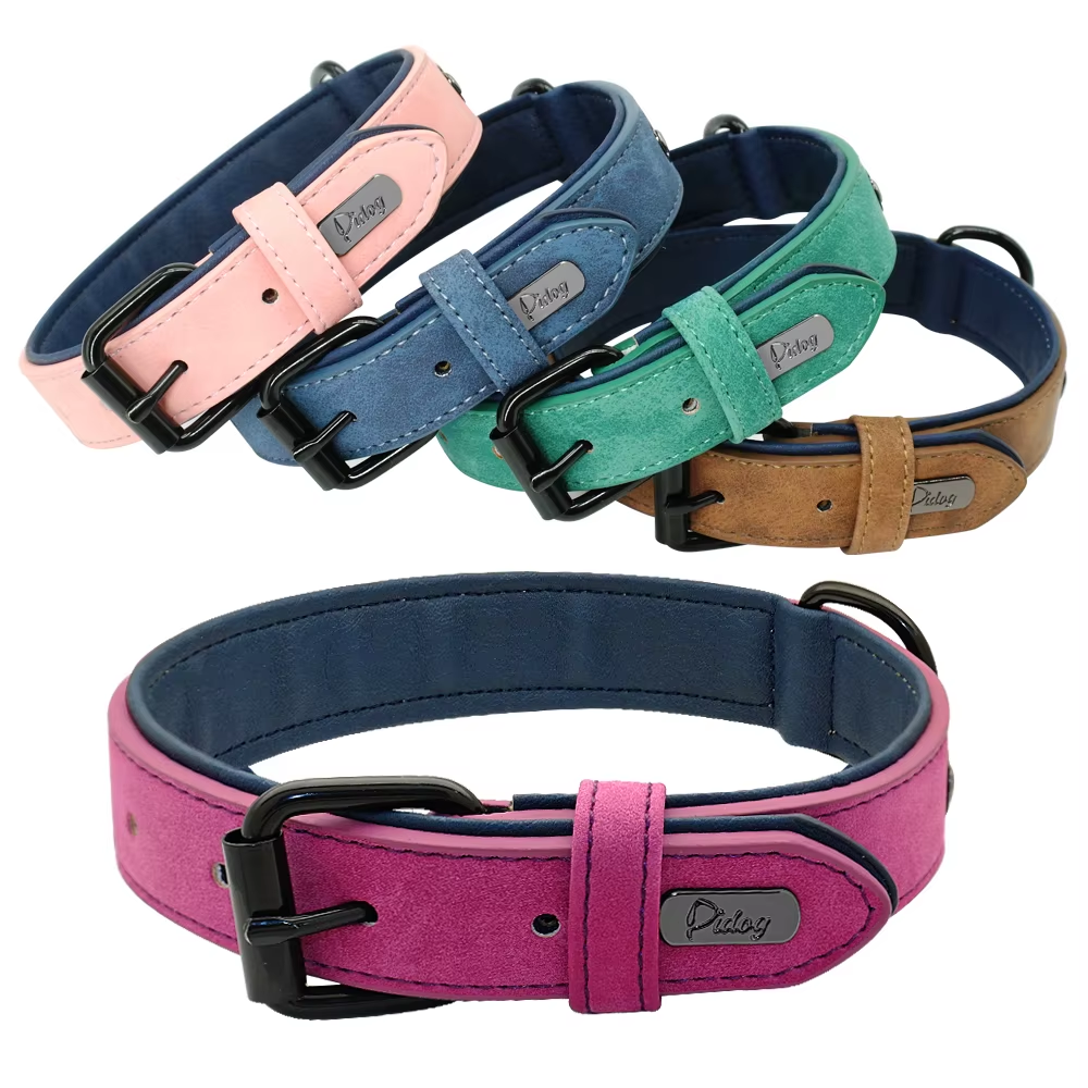 dog-collar-fancy-colors