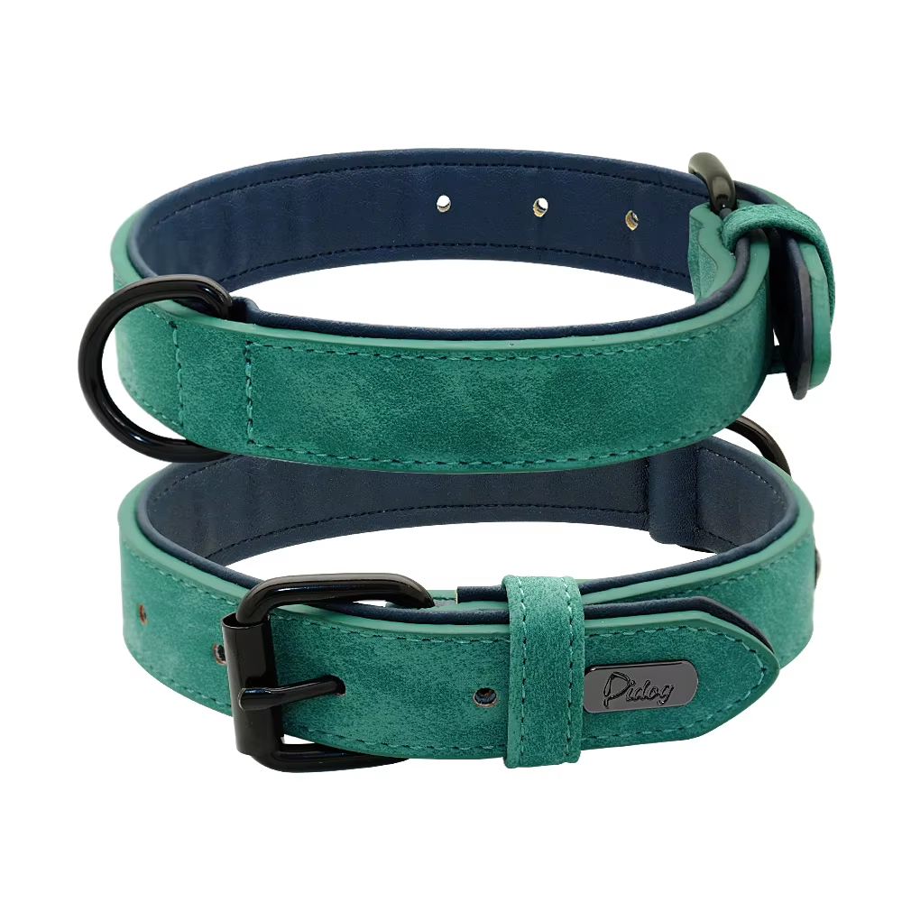 dog-collar-green