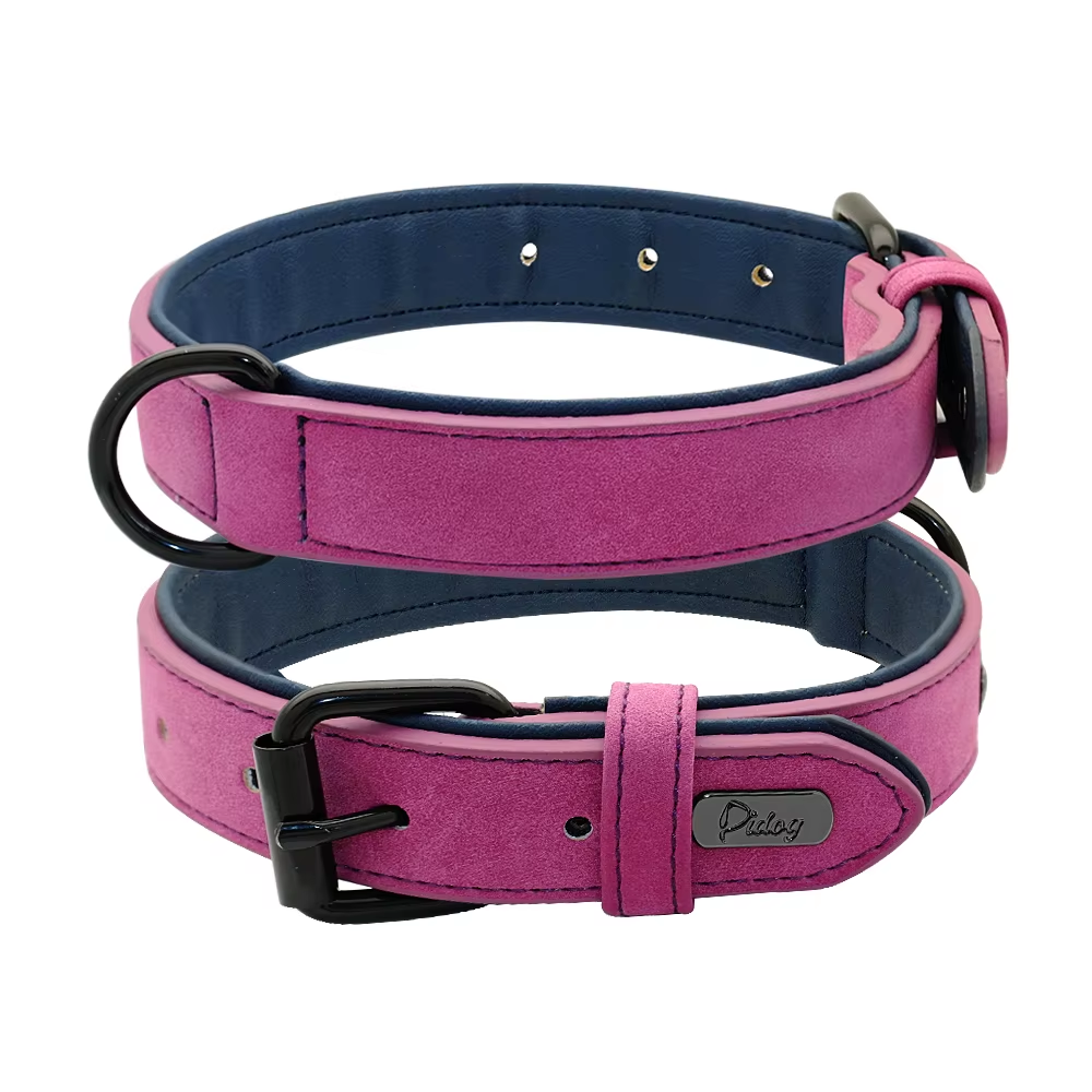 dog-collar-purple
