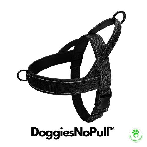 dog harness | DoggiesNoPullâą