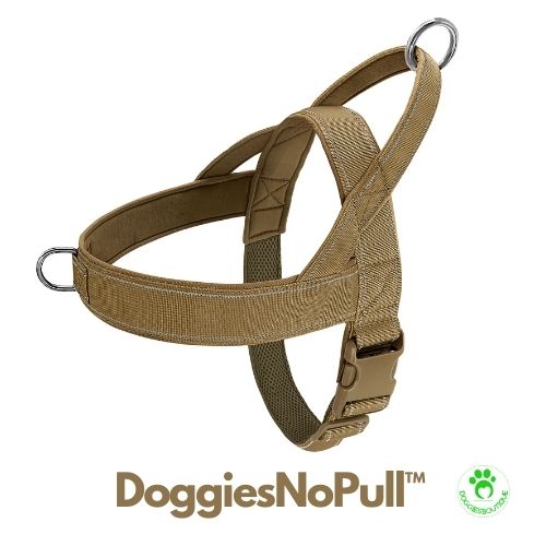 dog harness | DoggiesNoPullâą
