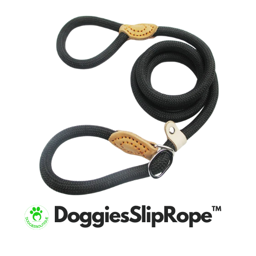 dog-lead-black