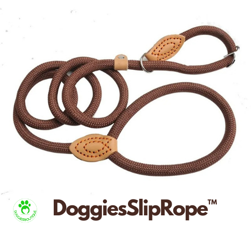 dog-lead-brown