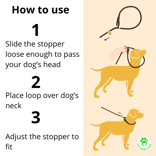 dog-lead-slip