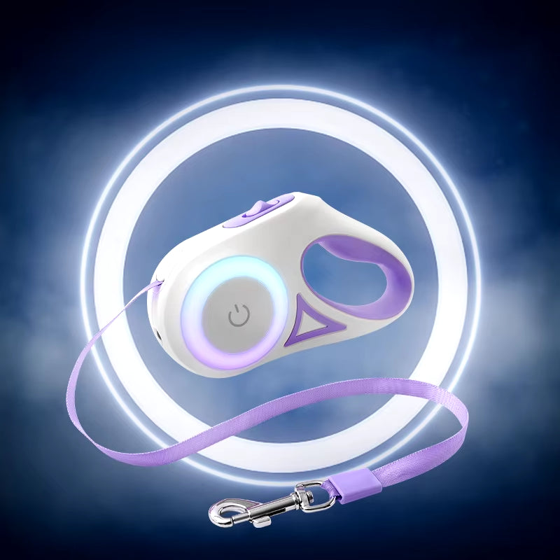 dog-leash-led