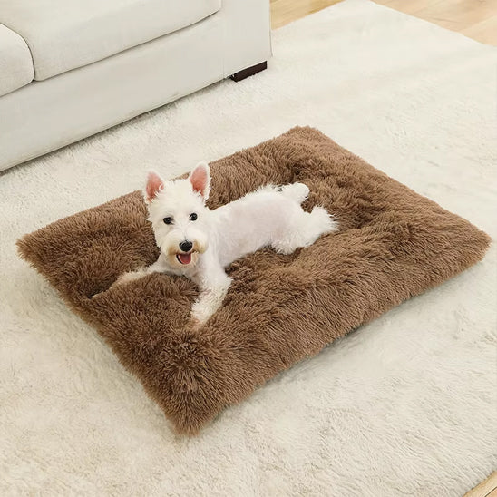 dog_beds_cozzy