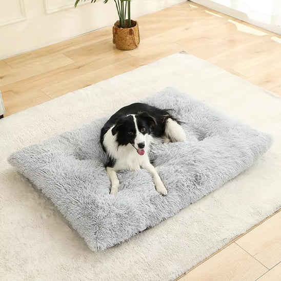 dog_beds_soft