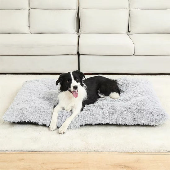 dog_cushion