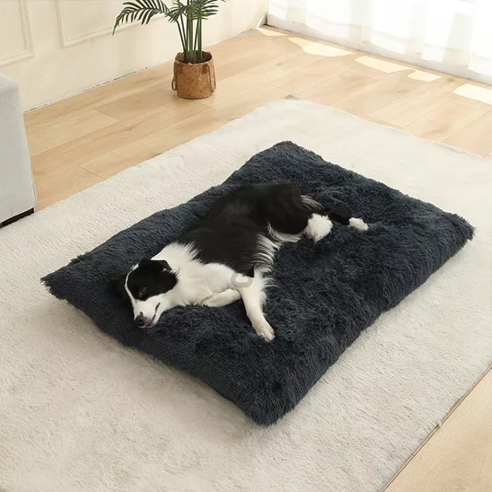 dog_cushion_black