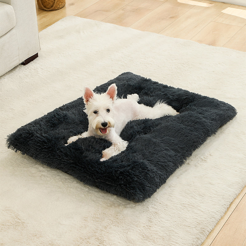 dog_cushion_cozzy