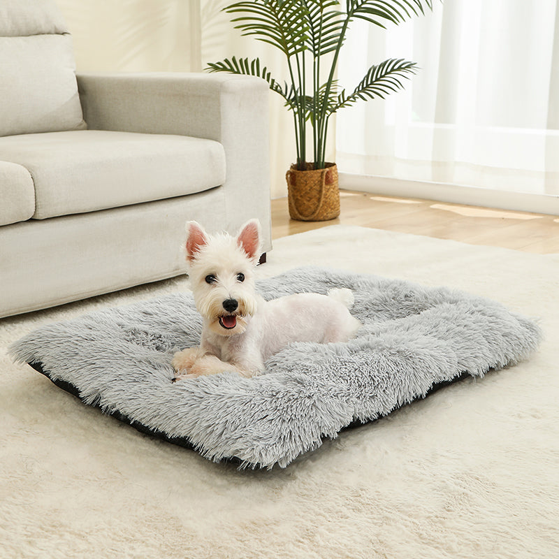dog_cushion_grey