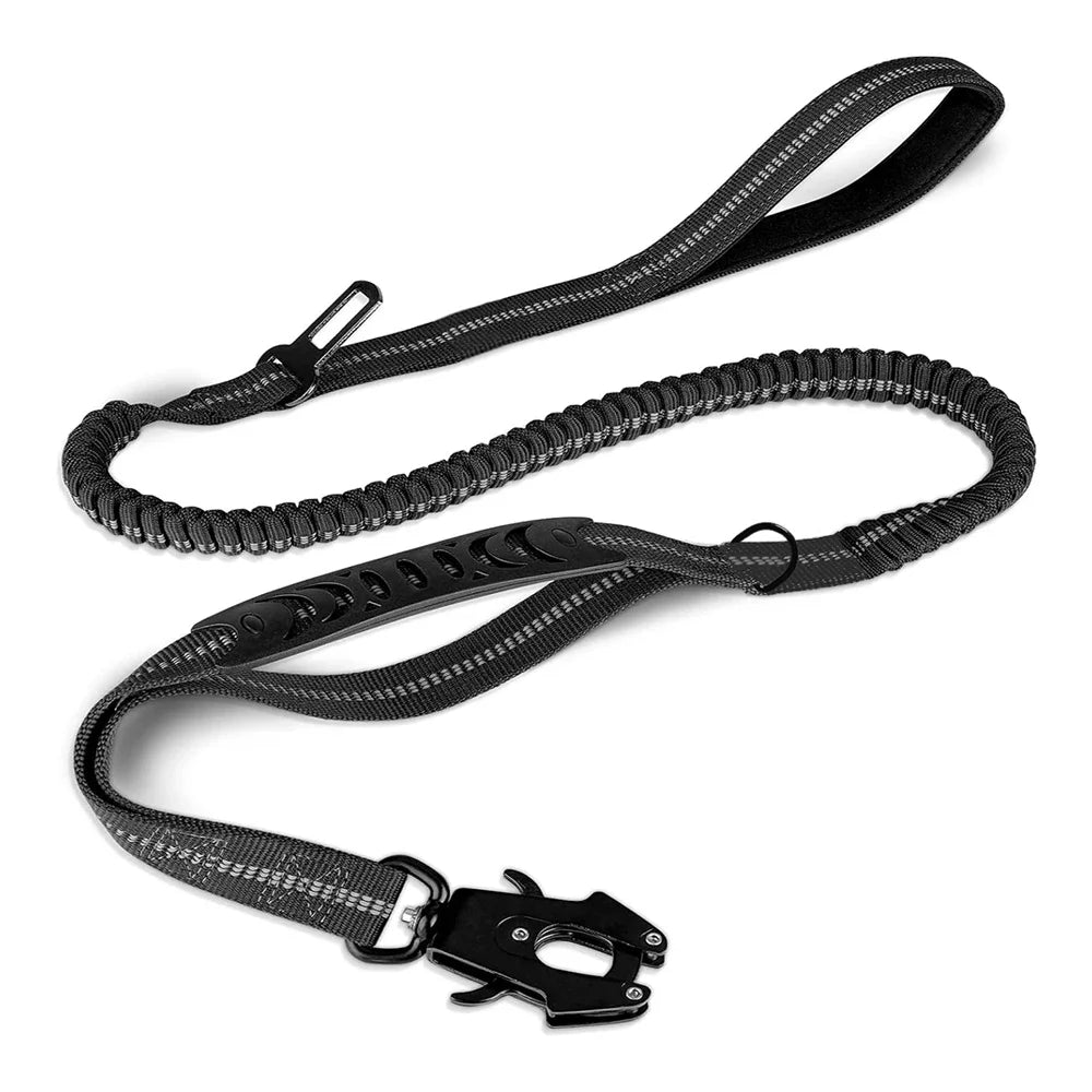 dog lead black