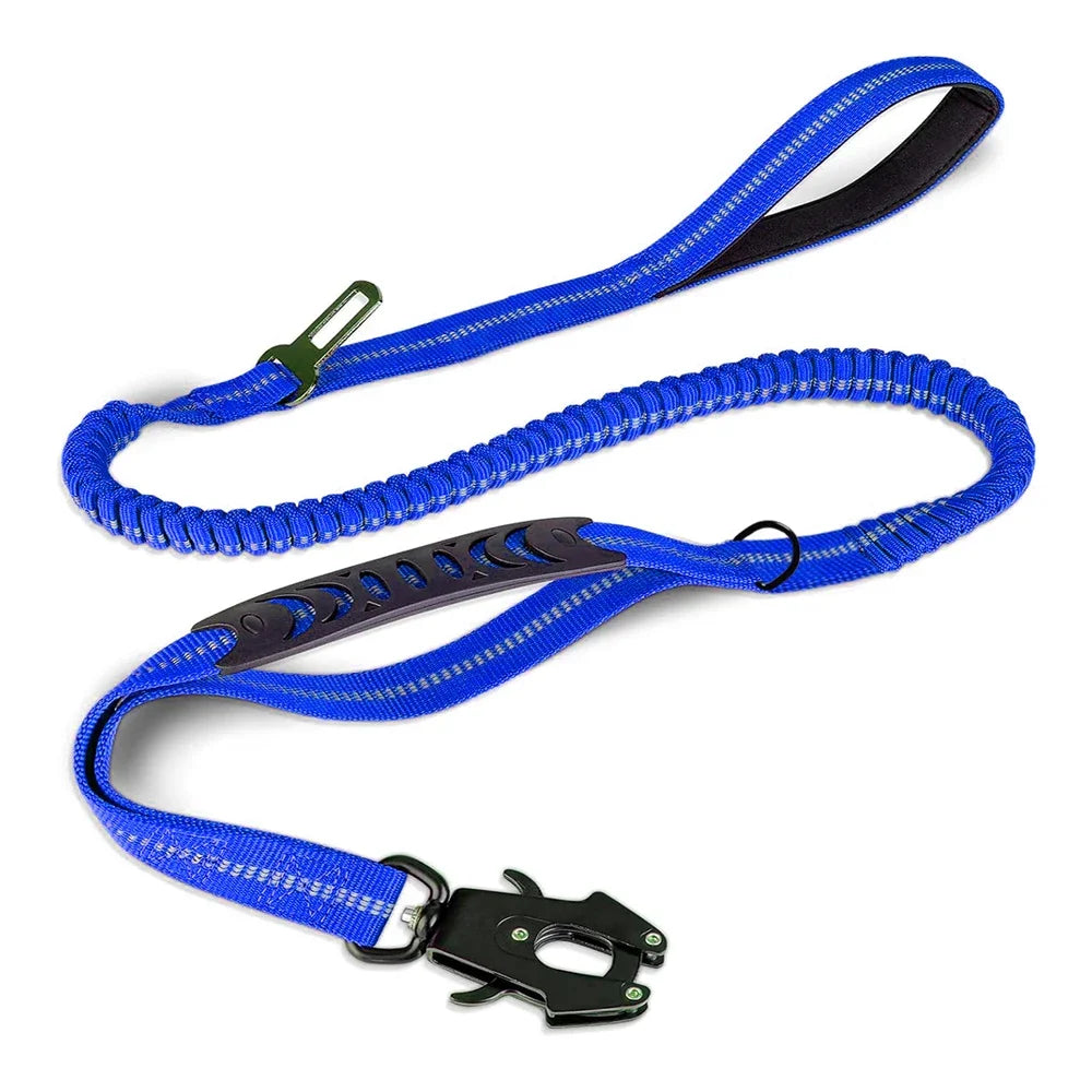 dog lead blue