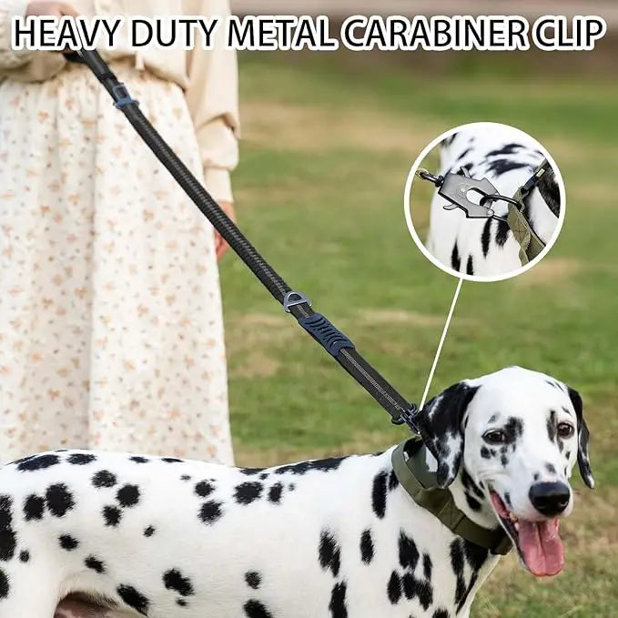 dog lead carabiner clip