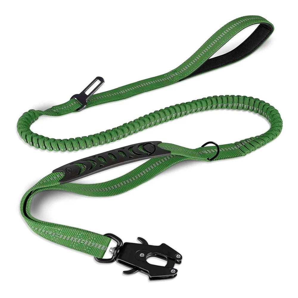 dog lead green