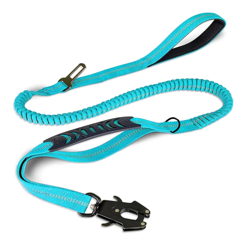 dog lead light blue