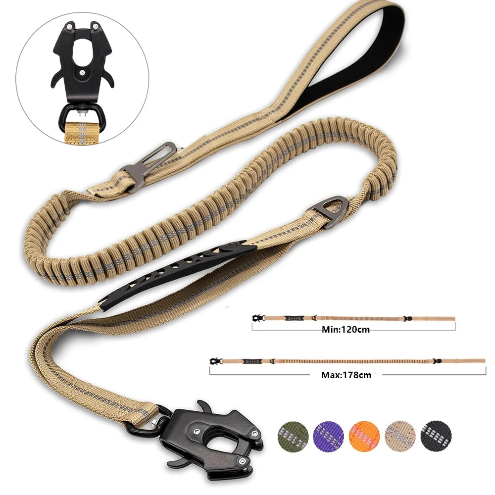 dog lead practical