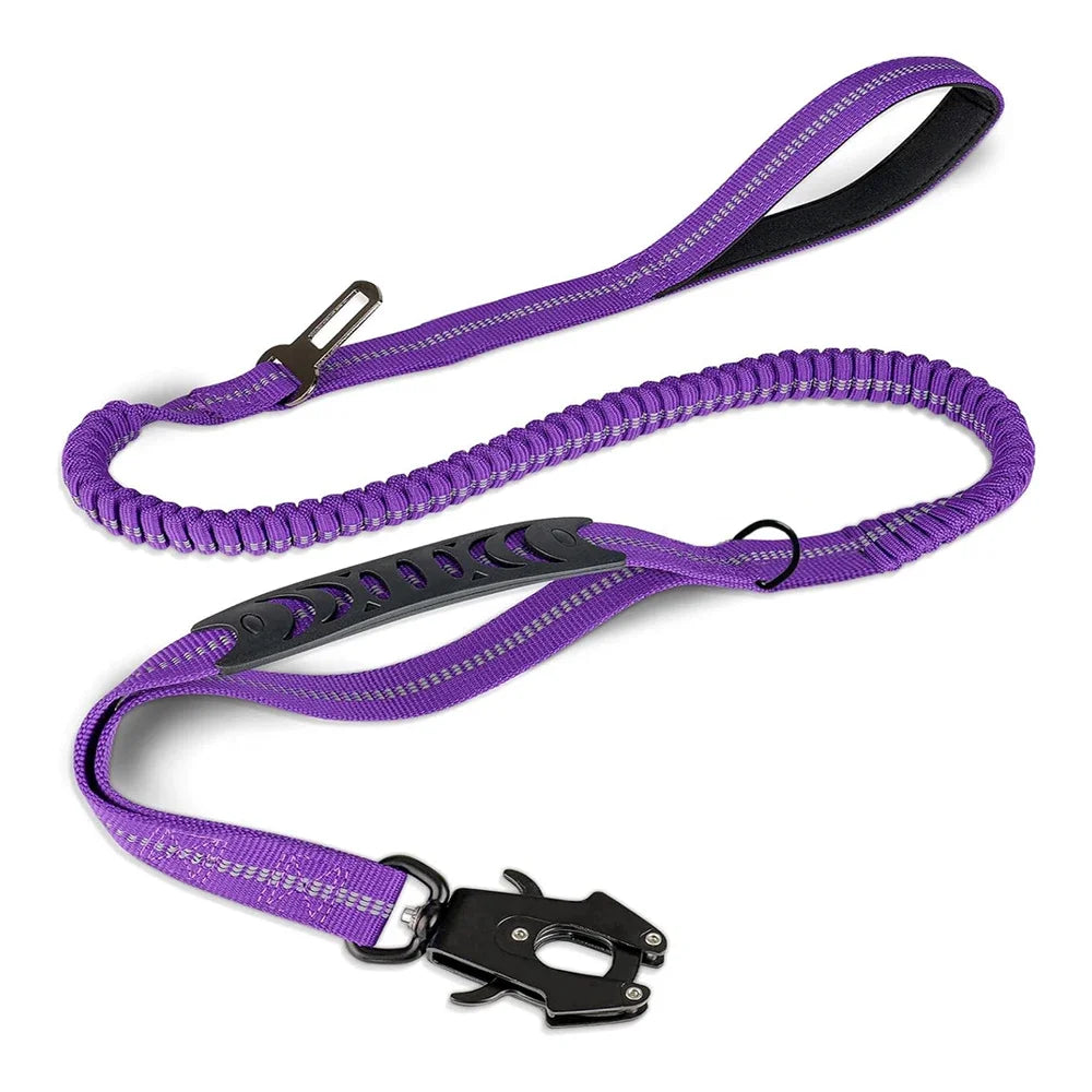 dog lead purple