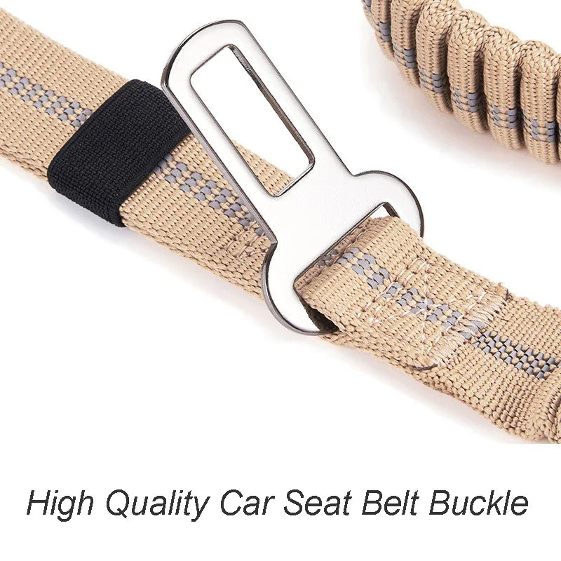 dog lead seat belt
