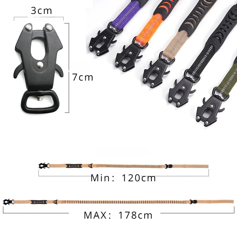 dog lead secure