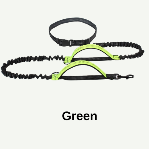 dog run belt-green