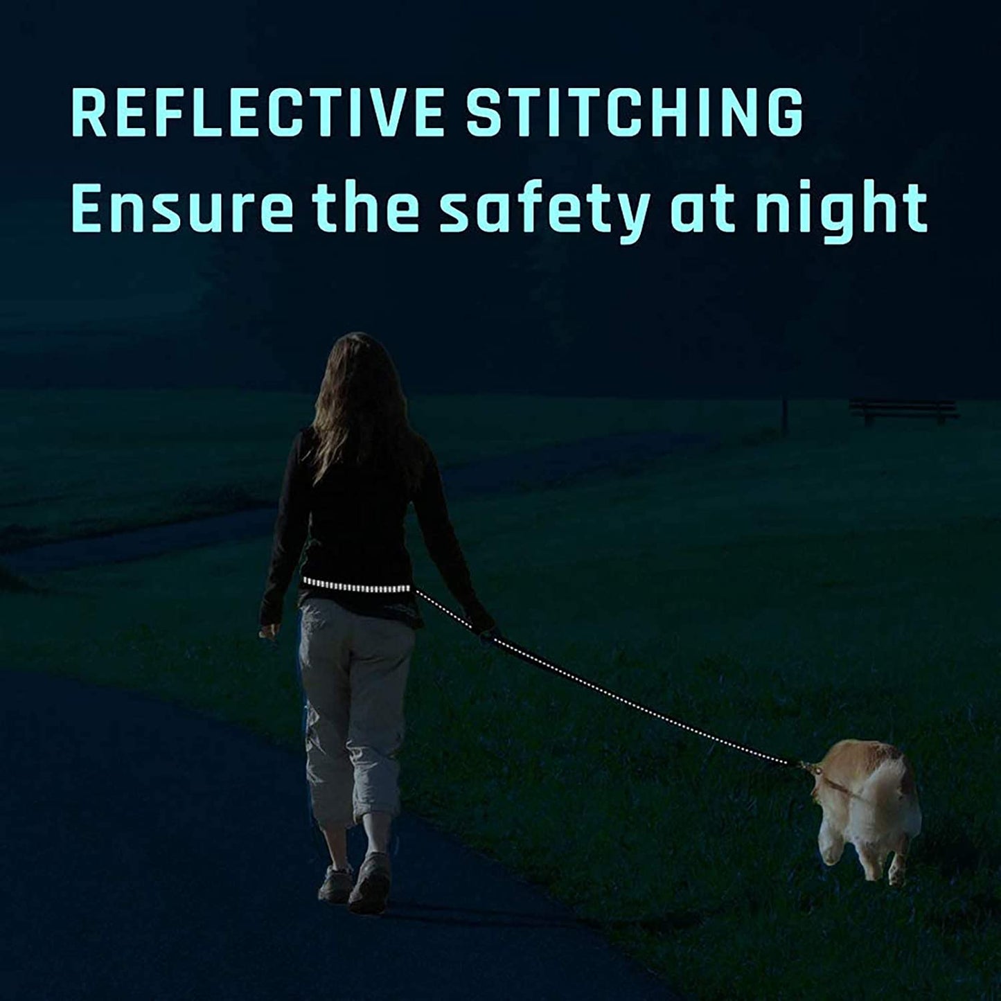 dog run belt-reflective