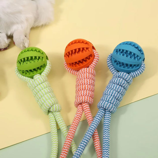 dog_toys_ball
