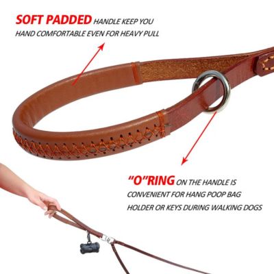 Double dog lead