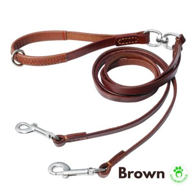 Double dog lead