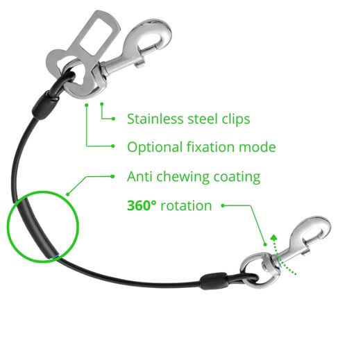 Car Safety Dog Leash