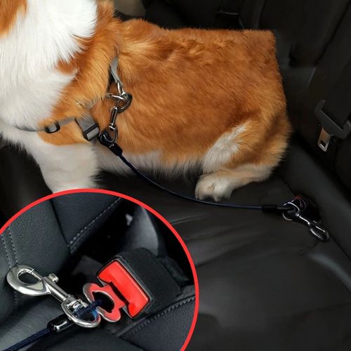 Car Safety Dog Leash
