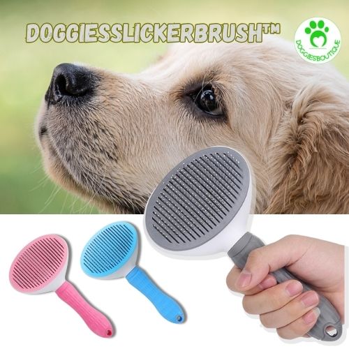 slicker brush for dogs practical
