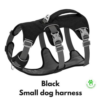 small-dog-harness-black