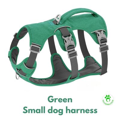 small-dog-harness-green