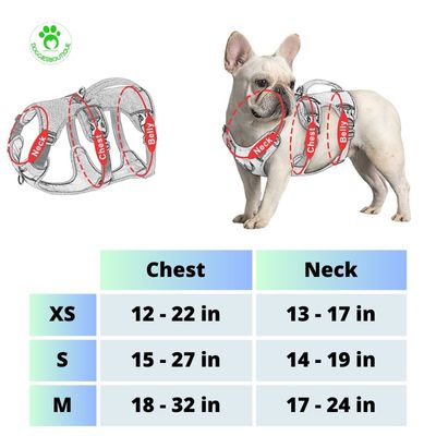 small-dog-harness-measures