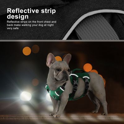 small-dog-harness-reflective