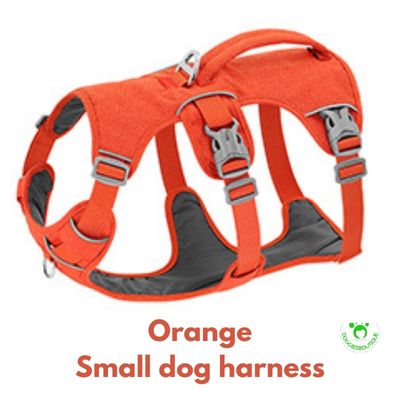 small-dog-harnessorange