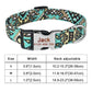 Pet-collar-personalized