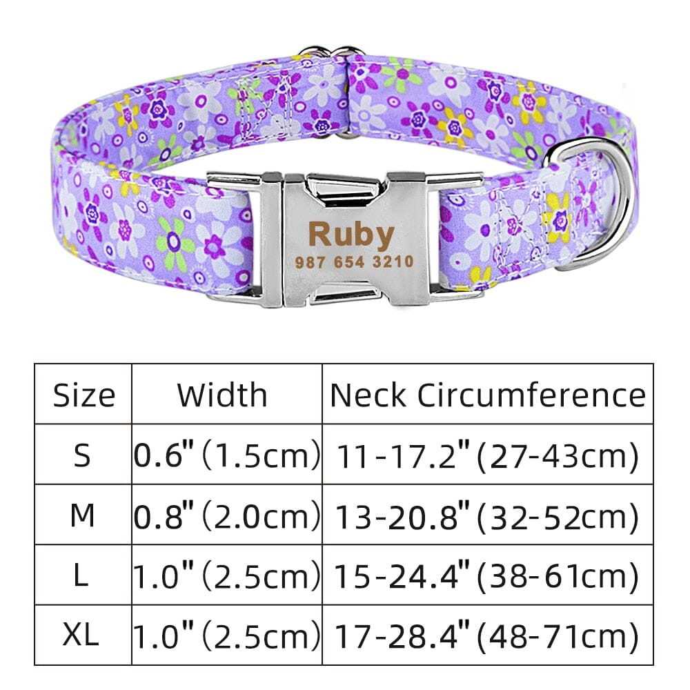 Personalized-collar-trendy