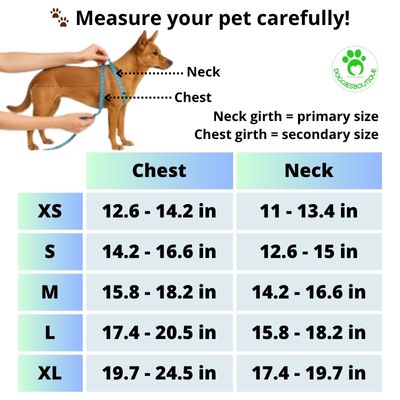 Doggies harness