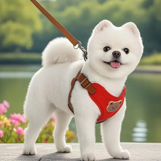 Doggies harness