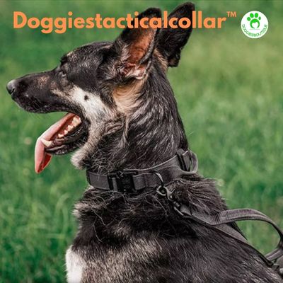 Dog Collar | Doggiestacticalcollar™