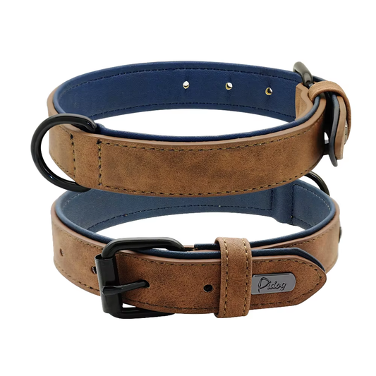 dog-collar-brown